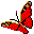 Red butterfly